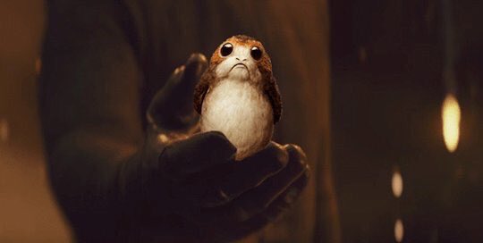 TheTwistedJedi's tweet image. Whoever did this is a genius 😂😂