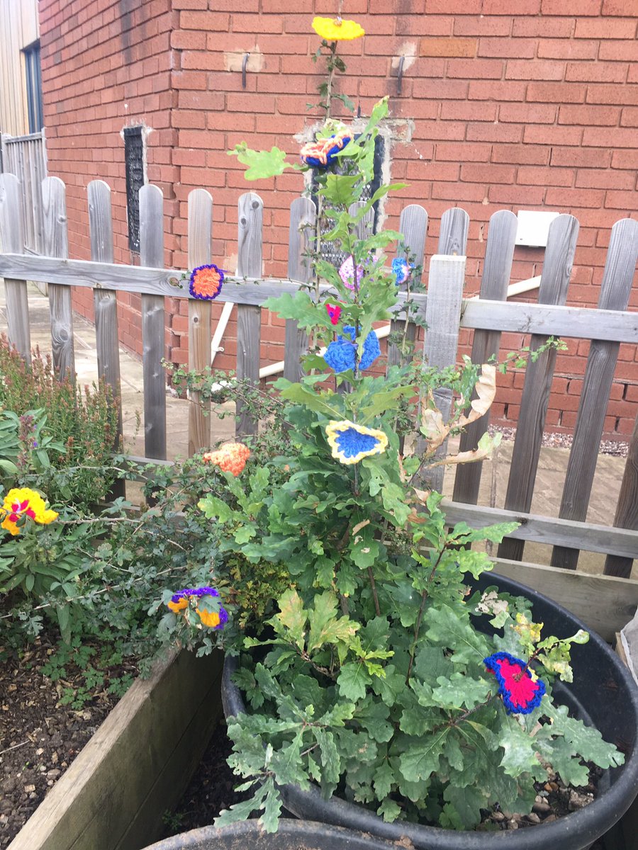 GroOrganicUK's tweet photo. @NStarArts have made us these lovely knitted flowers so our garden @3Treescentre can be in bloom all year round 🌷 https://t.co/IJ9qeUvkVN