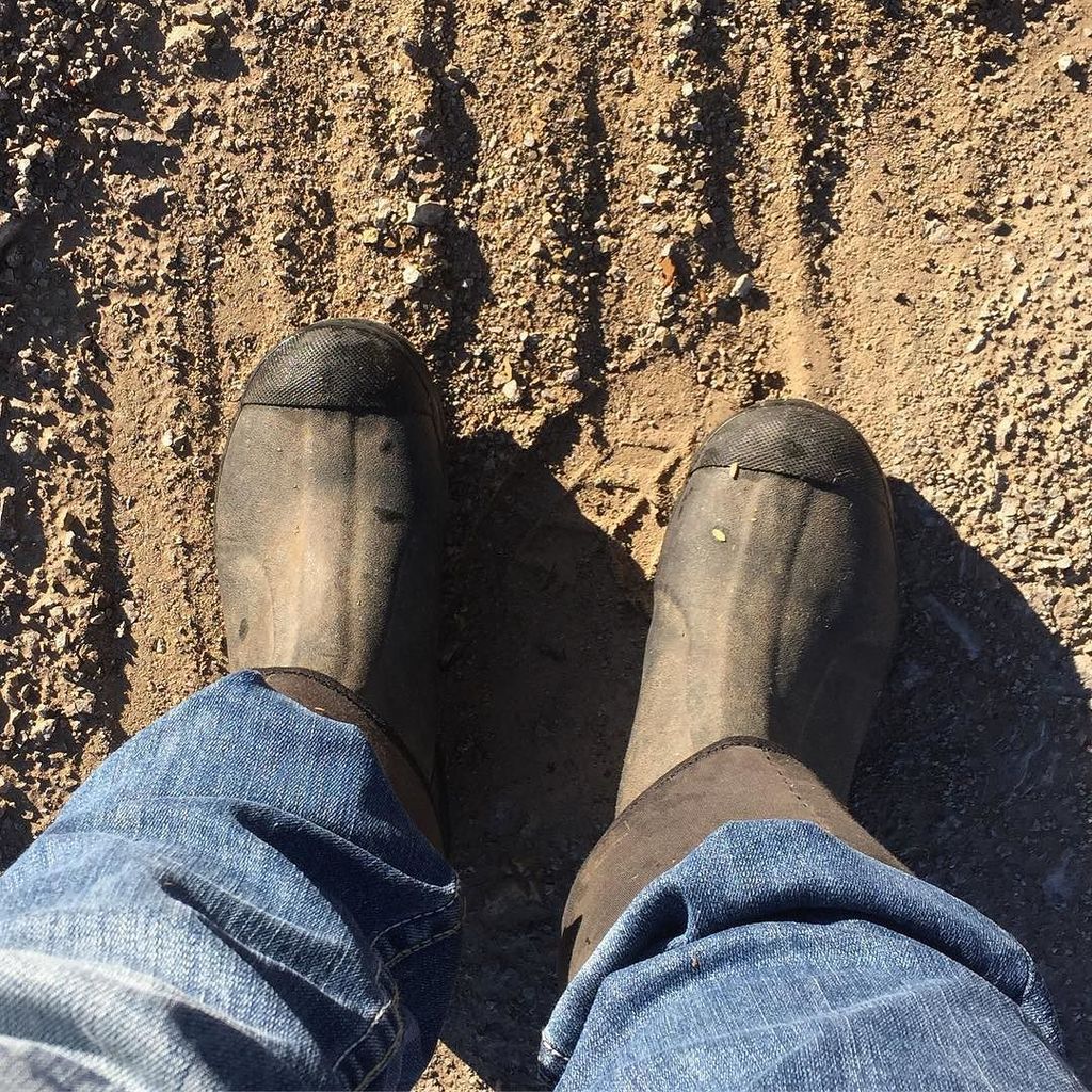 afarmwifeslife's tweet photo. Not my normal Sunday morning boots.
#cattlewereout #fixingfence #mudboots #sundaymorning #afarmwifeslife https://t.co/mHn9ClhU7Z https://t.co/FVQSlR29ag