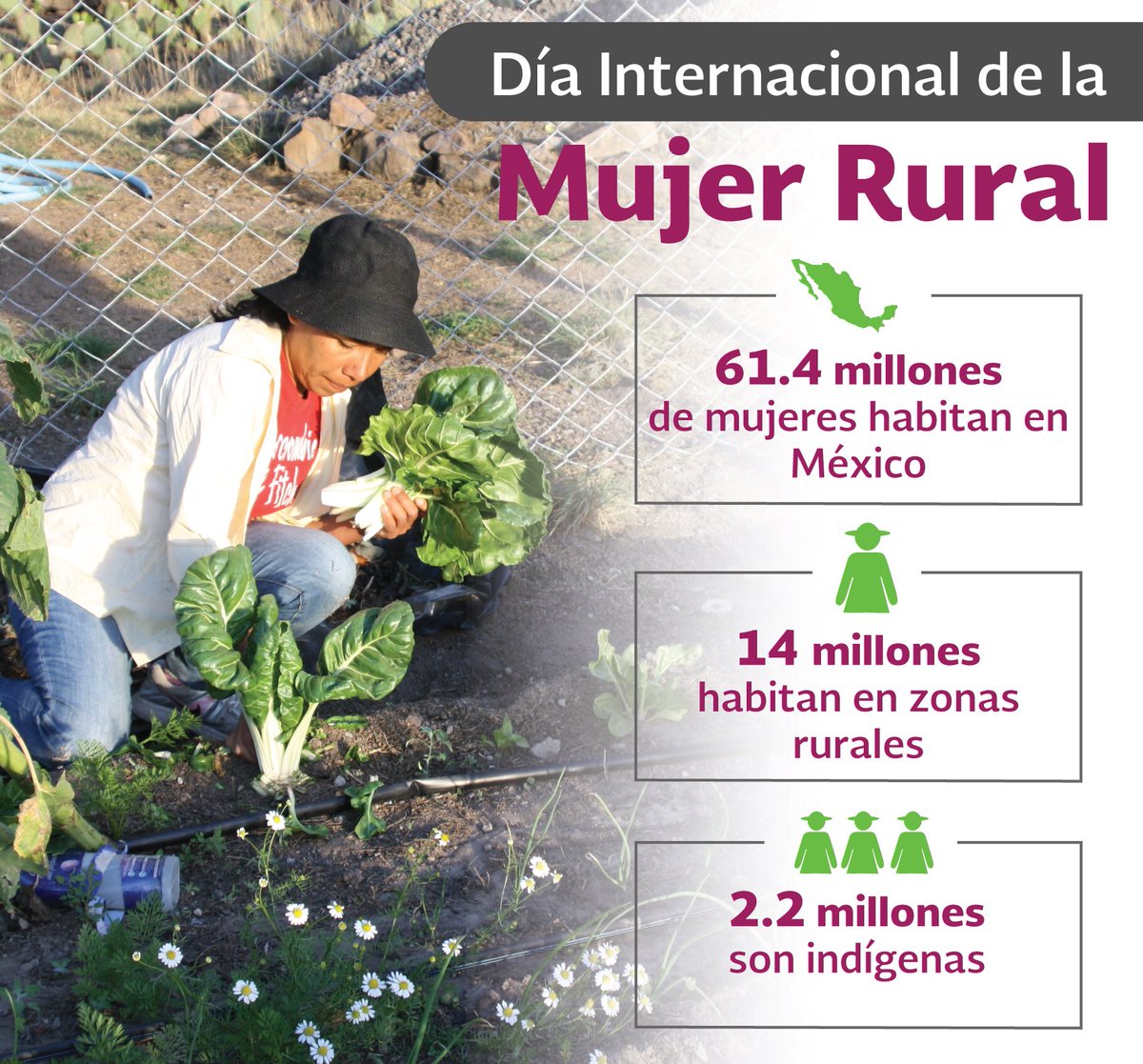 Mely_Romero's tweet photo. En México tenemos un gran compromiso que es visibilizar y empoderar a 14 millones de mujeres que habitan en zonas rurales! https://t.co/XxQRAunPZc