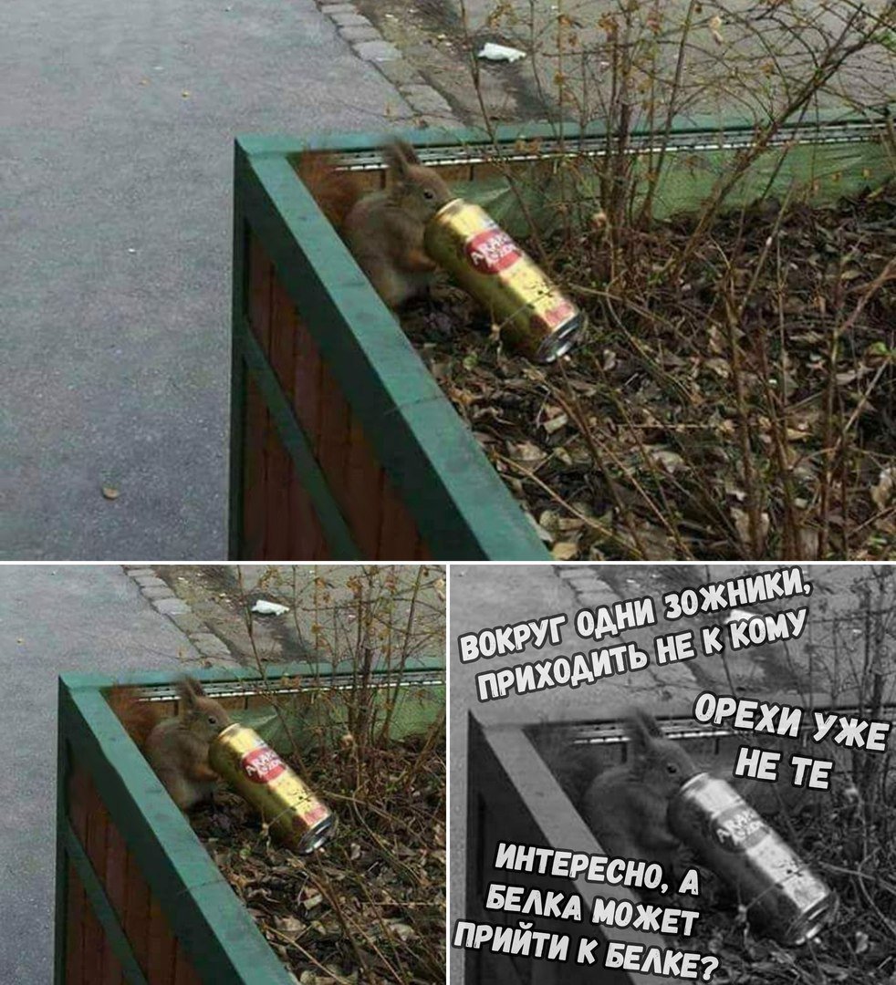 DMMC01aUEAEpIGs.jpg:large