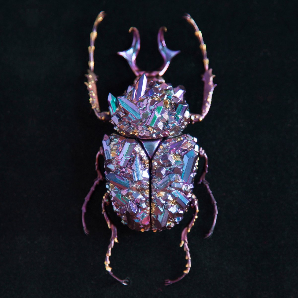 thisiscolossal's tweet photo. Beetle Sculptures Encrusted with Minerals by Nozomi https://t.co/gSdwzGSLd3 https://t.co/3r6I2wme7F