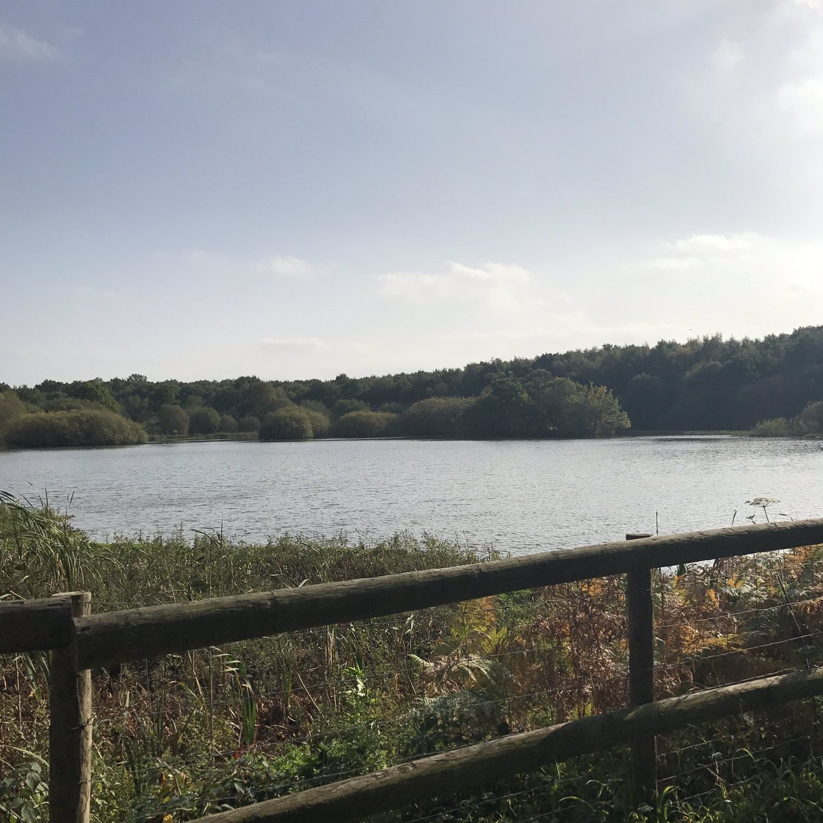 HedleyShona's tweet photo. @BBCCountryfile such a lovely ramble with school friends #AshsteadCommon #BBCMyRamble https://t.co/0KMV6kcpvH