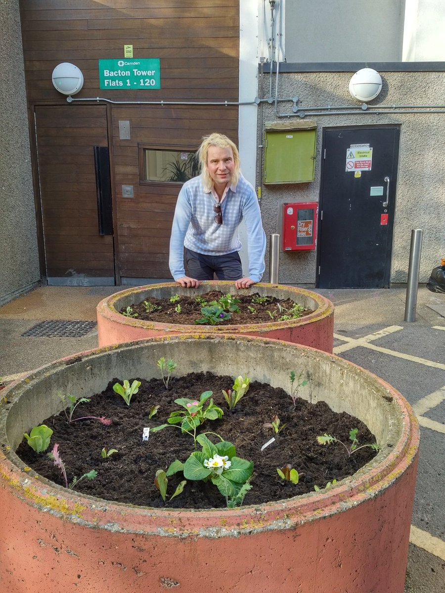 MarxdeMorais's tweet photo. Today #GuerrillaGO planting out its first #urban #veggie #garden at #Bacton in #GospelOak. #TeamGO #GuerrillaGardening https://t.co/o8HgBfZXbk
