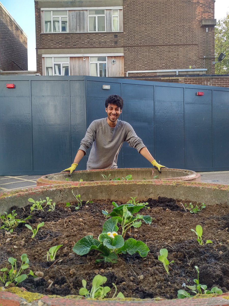MarxdeMorais's tweet photo. Today #GuerrillaGO planting out its first #urban #veggie #garden at #Bacton in #GospelOak. #TeamGO #GuerrillaGardening https://t.co/o8HgBfZXbk