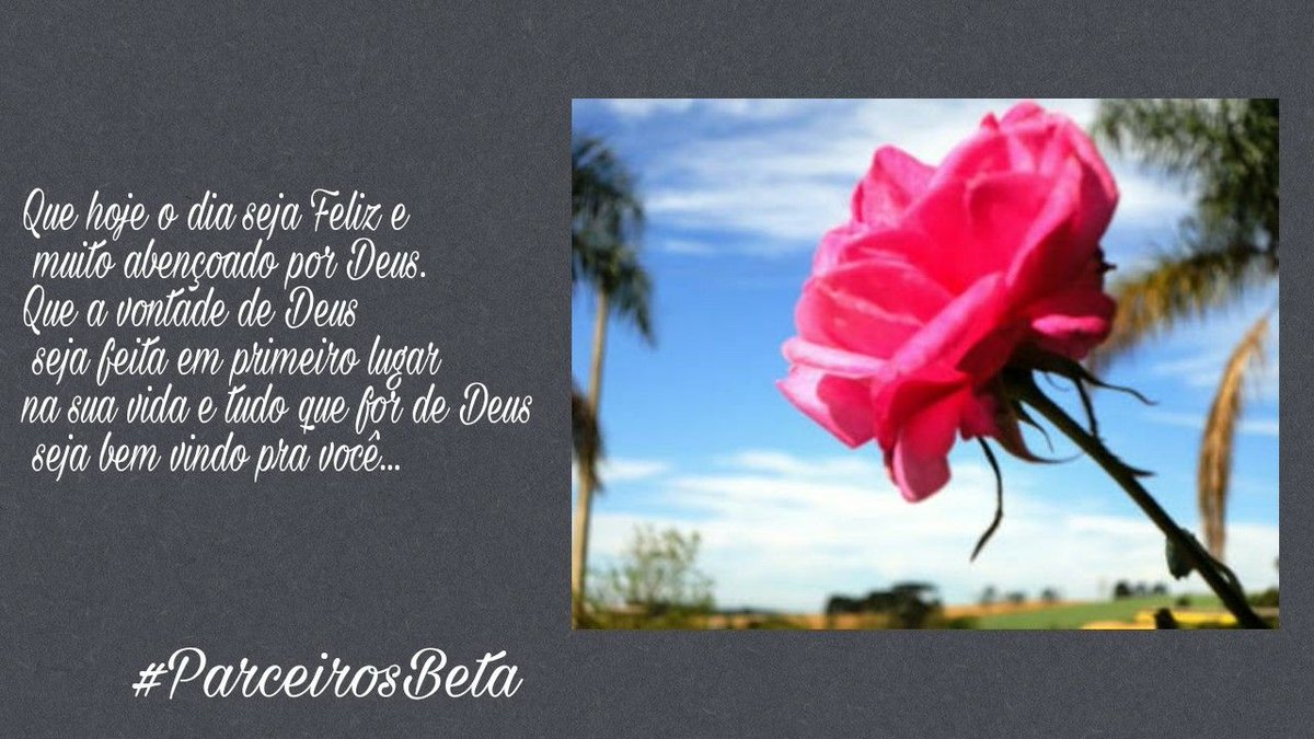 #PARCEIROSBETA 
<a href="/parceirosbeta/">#PARCEIROSBETA OFICI</a> 
Domingouuuuuuu