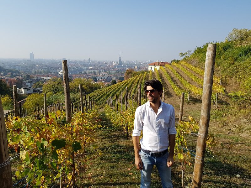 #VilladellaRegina #Torino unico #vigneto metropolitano in #Italia: @balbianovini produce #Freisa <a href="/vendemmiatorino/">Vendemmia a Torino - Grapes in Town</a>