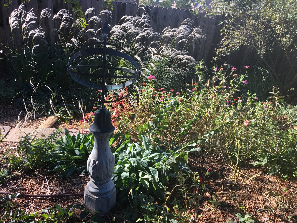 End of summer blooms in Larry's garden: Love-lies-bleeding, zinnias, Miscanthus in 'full tassel'.
