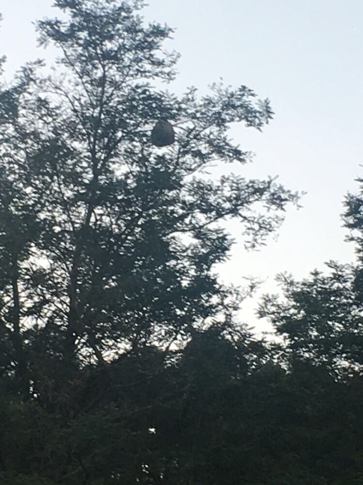 oscar gnf tweet media