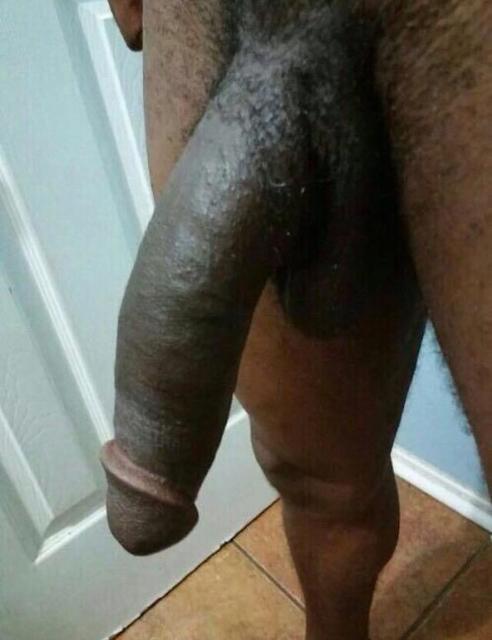 GuysSelfie's tweet photo. Do you want to play with this stallions dick? https://t.co/cAMg0b3bnS see more here! #xxlstallion #BBC #COCK #escort #bbcescort https://t.co/NYbMkJQWFy