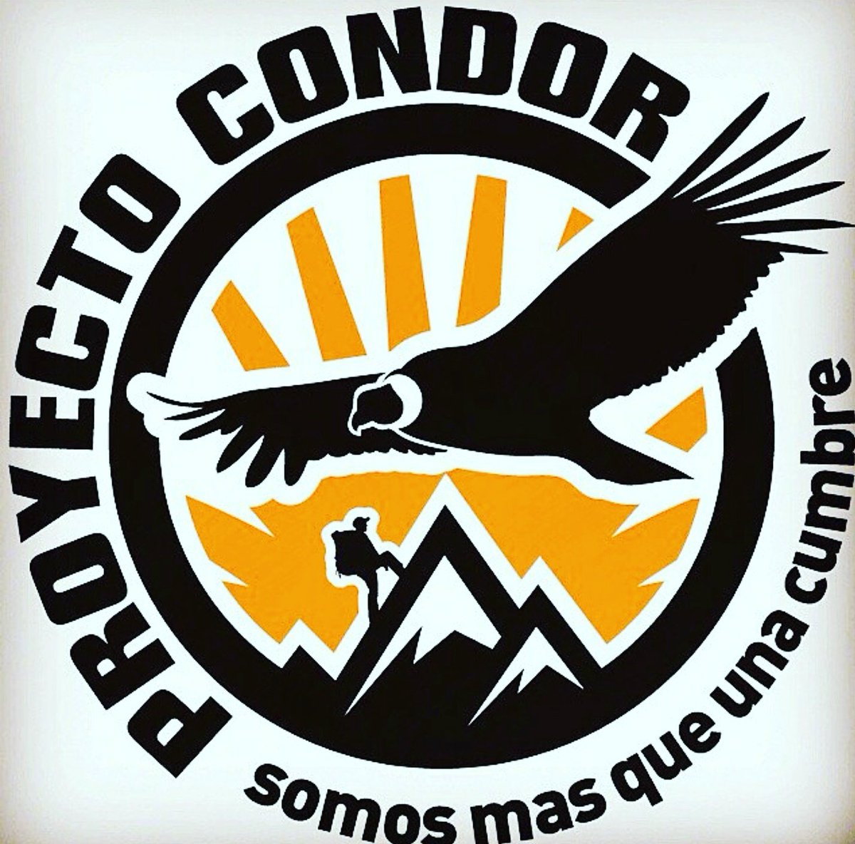 proyecto_condor's tweet photo. Si queremos seguir haciendo proyectos deportivos en vzla vota hoy #soyproyectocondor https://t.co/o2JqGQ8UjI