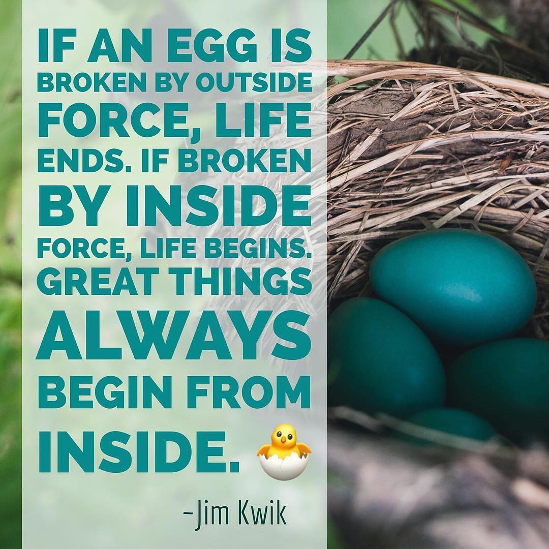 SuperheroYou's tweet photo. If an egg is broken by outside force, Life ends. If broken by inside force, Life begins... - @jimkwik  @MariSmith https://t.co/iFiD1b5w4v