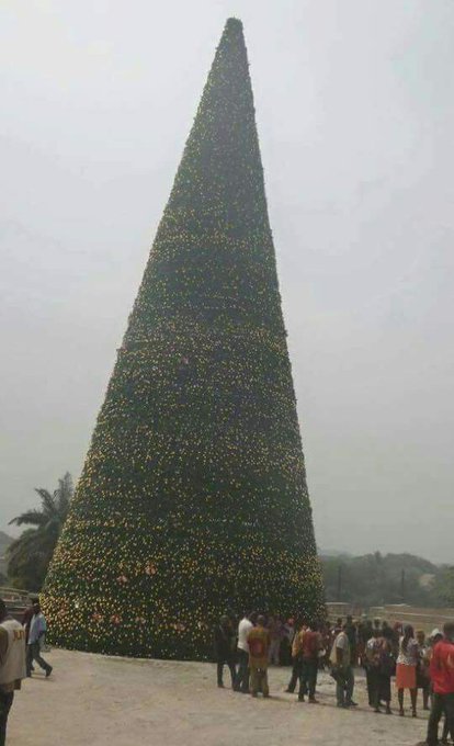 View image on Twitter