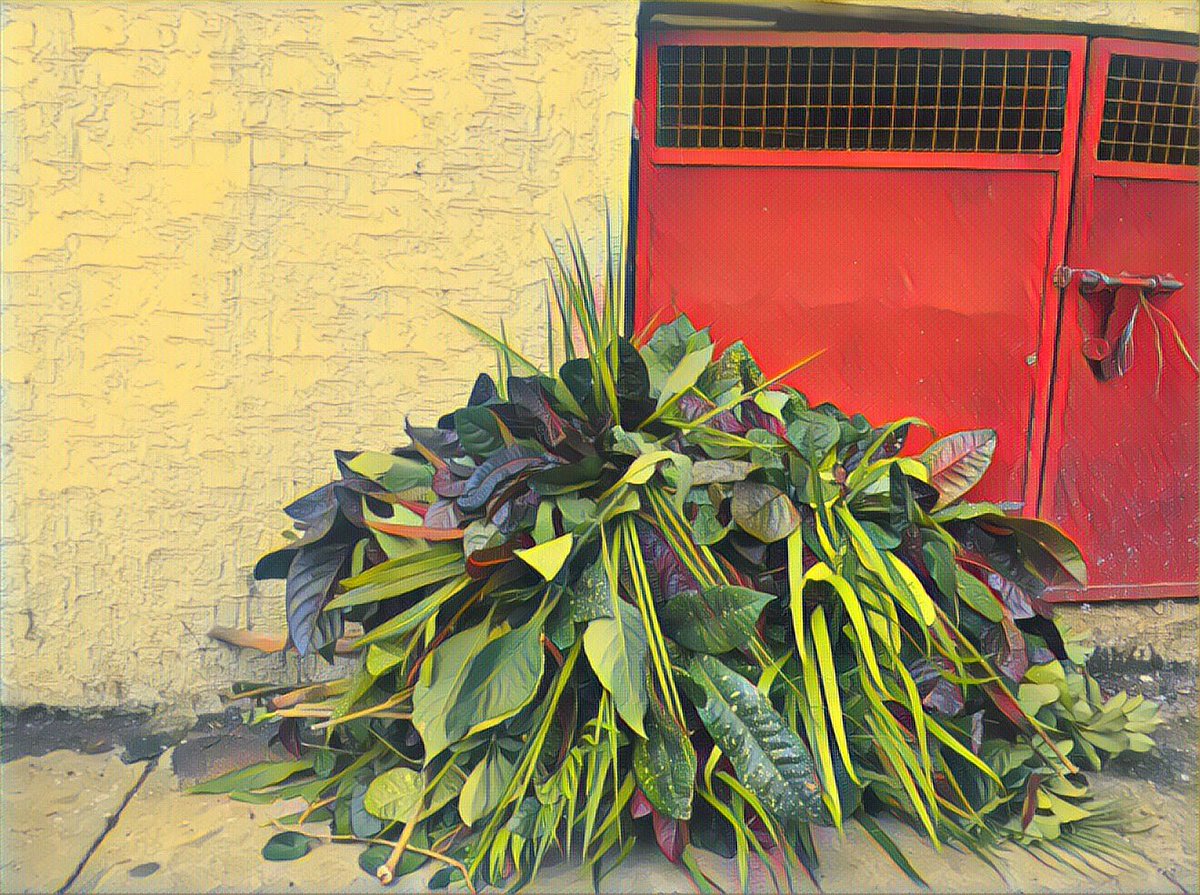 priyachettyr's tweet photo. #GarbageCanBeBeautiful :-) at our #garbage collection spot. https://t.co/L3274Up5GU