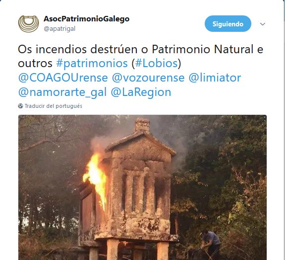 escolaconservac's tweet photo. Tanta dor coma lume nestes días terribles.A nosa gratitude sen límites para quen está axudando na extinción.
 #ArdeGalicia https://t.co/iv8gEuzZ3r