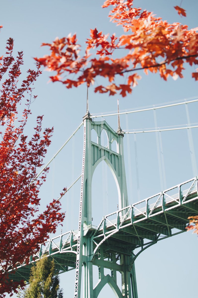 odonalberto's tweet photo. Changing of Seasons in the 503 🌲🍂🍁 https://t.co/dssGU3lVGm