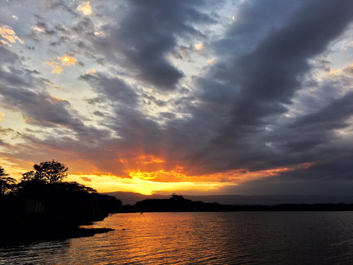 Geoff Mayes tweet media