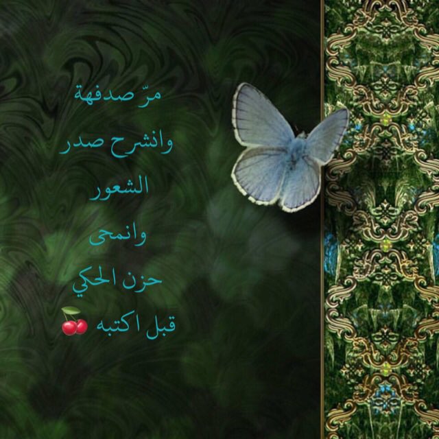 kaaraz_a's tweet photo. #InstArabic https://t.co/hqPmGOgnK8