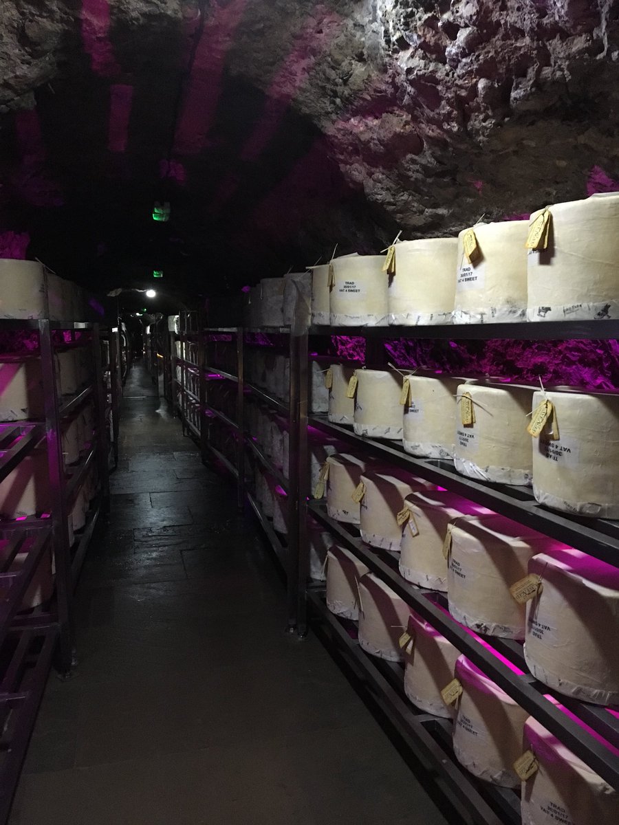 Clarepaul_'s tweet photo. Wow @VisitSomerset @JohnTurnerComms .... #Somerset cave aged cheese! https://t.co/FJiqjtEoJ8