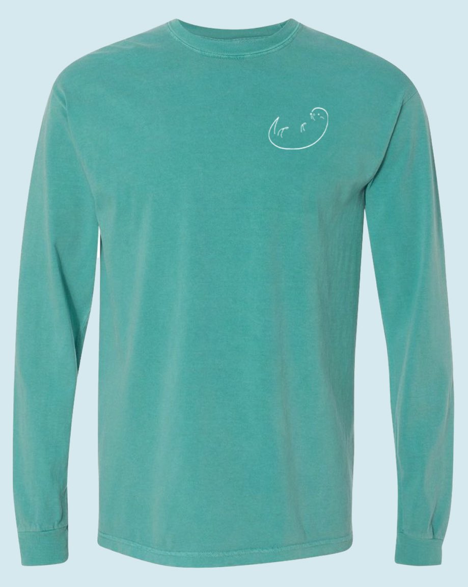 ShopLunaBay's tweet photo. Here is our 100% comfy cotton long sleeve in Sea Foam Green!! https://t.co/BrmFuvAQ4k