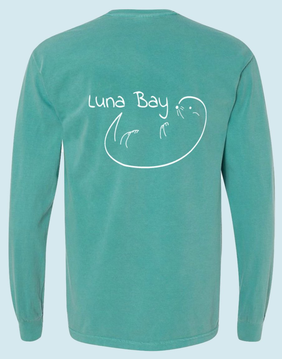 ShopLunaBay's tweet photo. Here is our 100% comfy cotton long sleeve in Sea Foam Green!! https://t.co/BrmFuvAQ4k