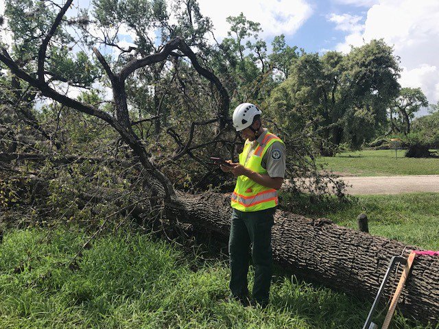 TXForestService's tweet image. Trees are a critical part of the community’s infrastructure and should be considered in restoration planning. southernforests.org/urban/ufst
