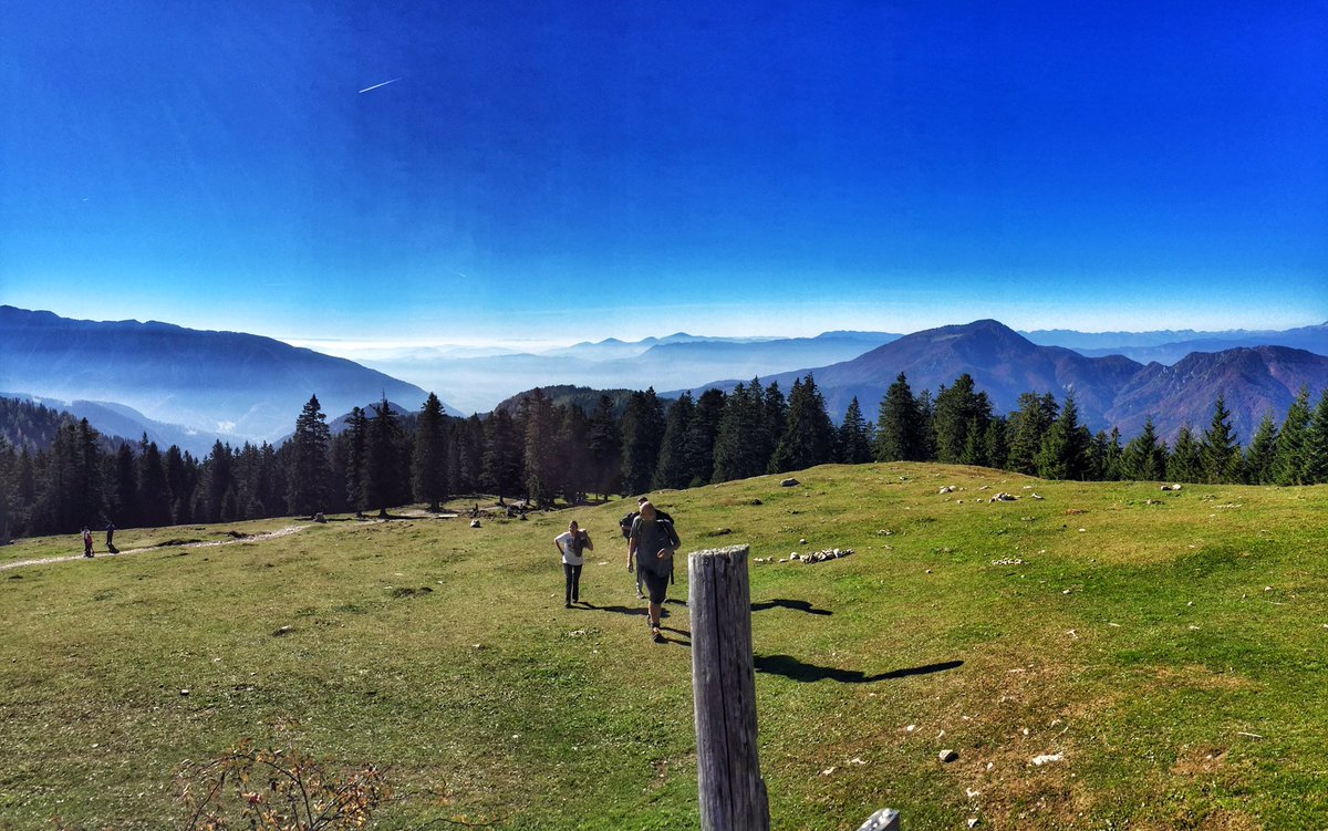 SandraSalihovic's tweet photo. Sem koncno prisla do njih😁 klasika se vedno zmaga! Cokoladni tud kul, borovnica pa nic posebnega :) ampak lep pohod! 💪🏼🌲☀️ #kofce #struklji https://t.co/PxetrSDQiM