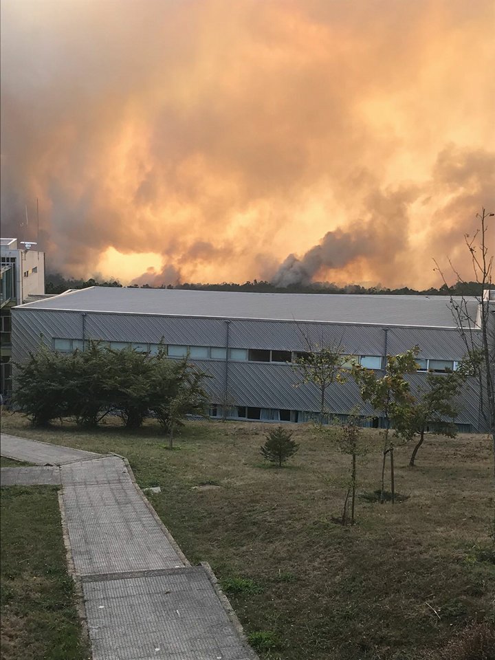 IlCanallaRubens's tweet photo. #UltimaHora Así se ve o desastre do lume no CUVI, Universidade de Vigo. #Lume #Cuvi #GalizaArde #Vigo https://t.co/Hi985xUGAd