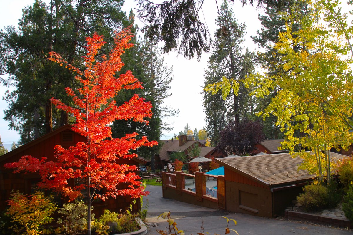 Those colors though! 😍
#TahoeNorth