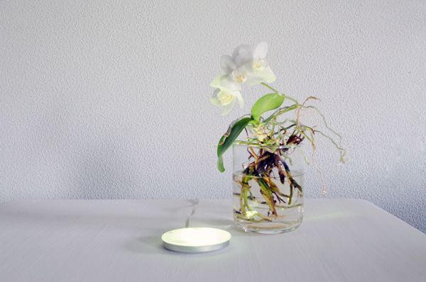 smartdesignlab's tweet photo. The #Aura lamp is an experiment in interactive objects that combines #nature, #water &amp; #light.
https://t.co/PmMfO2fuKy https://t.co/zBgPsiVaW1