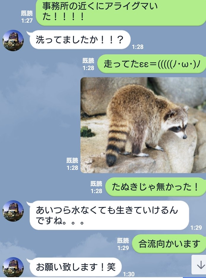 Taka Fish Hunter お魚クック 今夜のハイライト 八王子でアライグマ目撃 たぬきじゃ無かった 写真は引用 尻尾シマシマ アライグマ 駅の近く T Co 46pfs1whml Twitter Taka Fish Hunter お魚クック 今夜のハイライト 八王子でアライグマ目撃 たぬきじゃ無かった 写真は引用 尻尾シマシマ アライグマ 駅の近く T Co 46pfs1whml Twitter