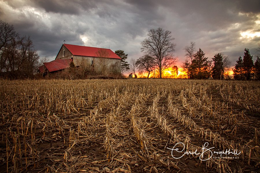 CarolBrightbill's tweet photo. Looks like fire in the sky #APpySunday @CanonUSAimaging #canonfavpic https://t.co/S6Qlncf9RJ