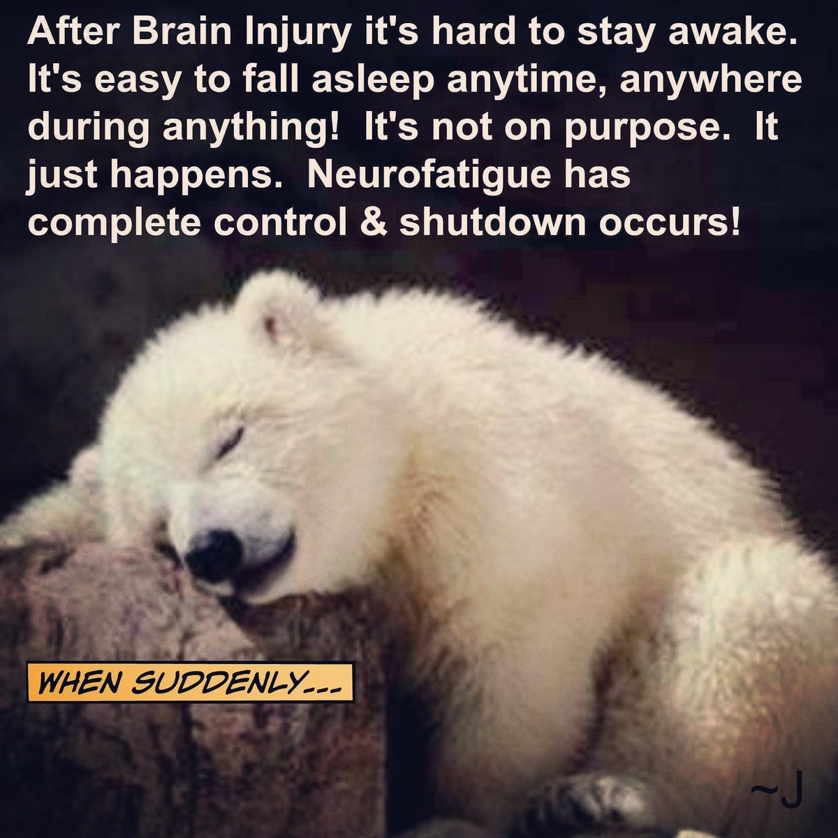 carolcoventry76's tweet photo. #braininjury #TBI #needsleep https://t.co/b4HMjjnuCW