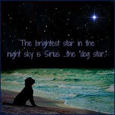 KaalGroup's tweet photo. Back tomorrow - time to say goodnight
#BlessDogs #BlessCats #BlessAllAnimals https://t.co/twCnCv6Cn3