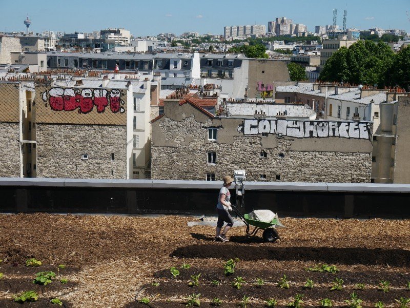EatUp_ag's tweet photo. Paris Post Office #RooftopFarm paves the way for happier work environments!
https://t.co/v8M01YUSRy https://t.co/rYar7bviZ5
