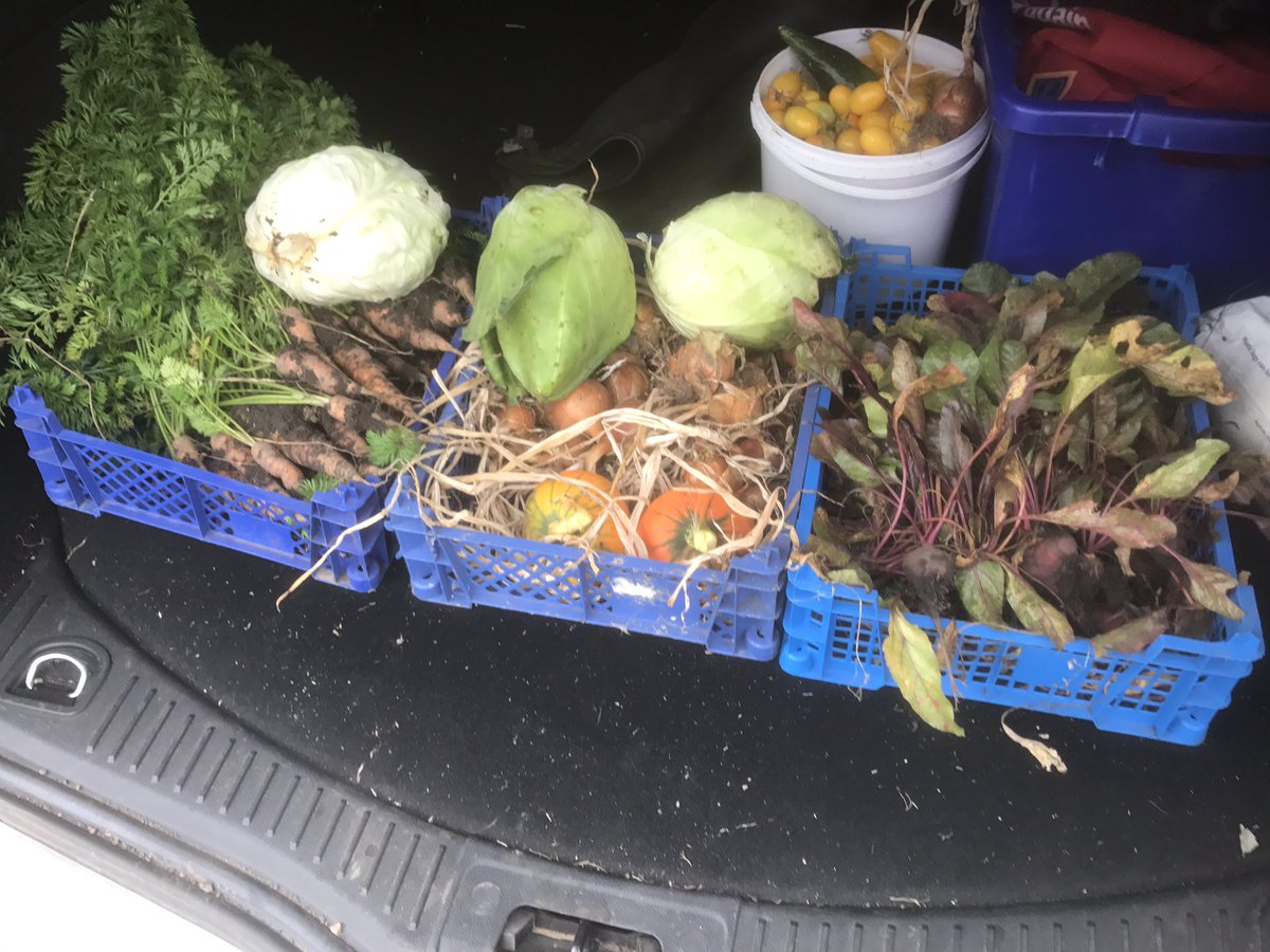 Goodlifeish's tweet image. Always a good feeling when you fill up the boot with goodies of the allotment!! #growyourown #allotment #Thegoodlife #Homegrown