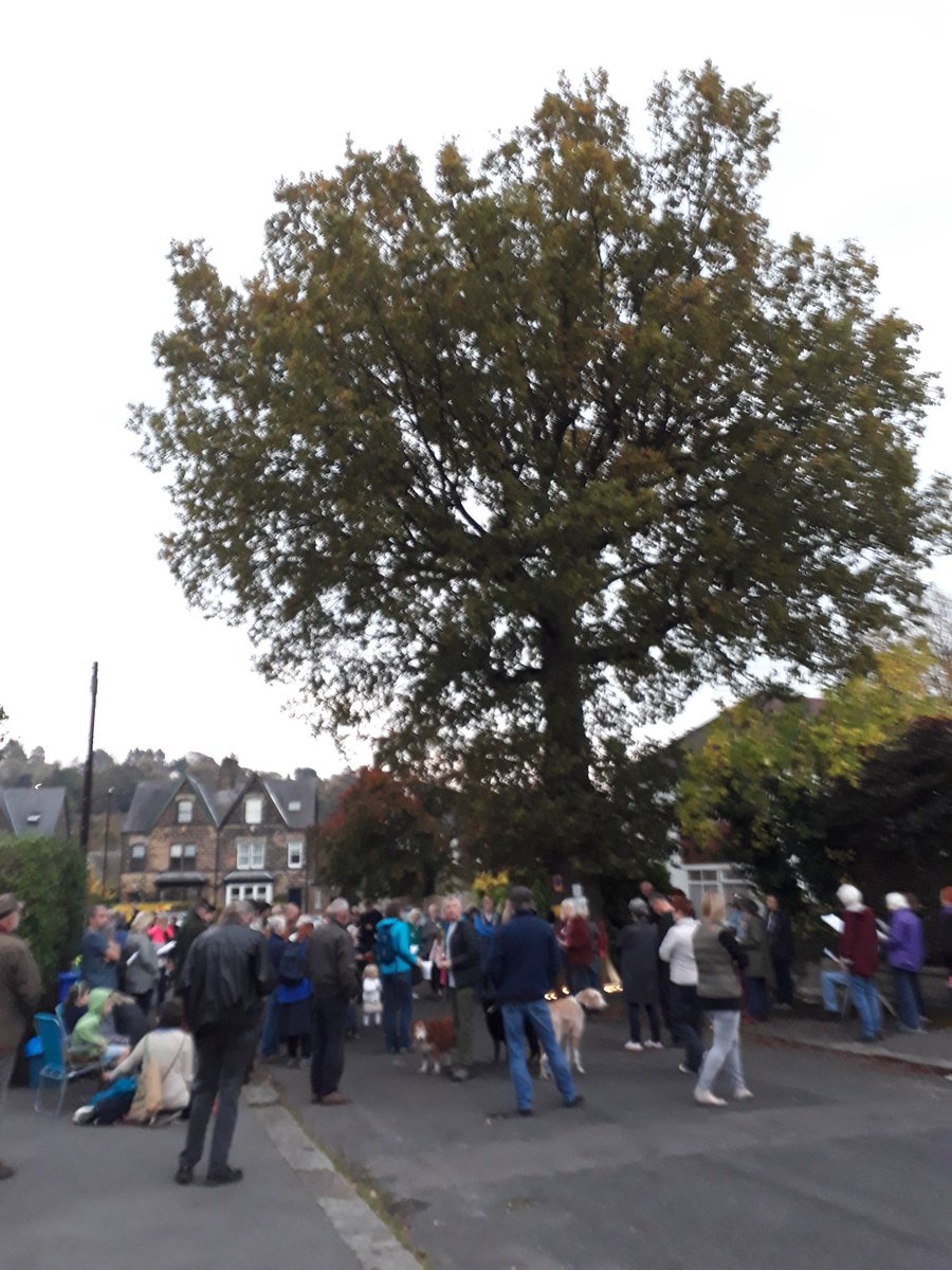 natalieben's tweet photo. #standwithvernon - #Sheffield standing now with this magnificent oak in #Dore. #SaveSheffTrees https://t.co/HeNJZGB0nN