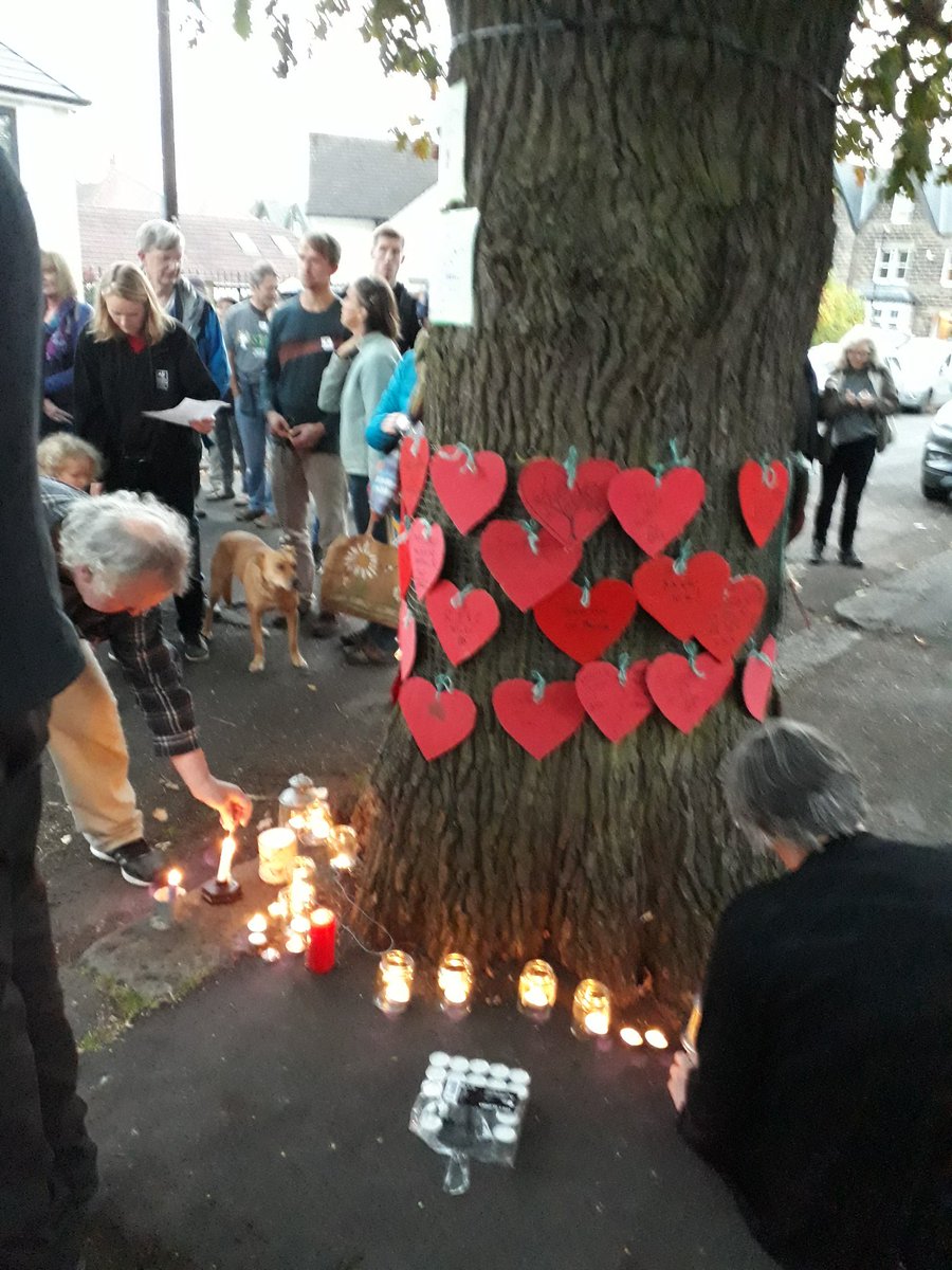 natalieben's tweet photo. #standwithvernon - #Sheffield standing now with this magnificent oak in #Dore. #SaveSheffTrees https://t.co/HeNJZGB0nN