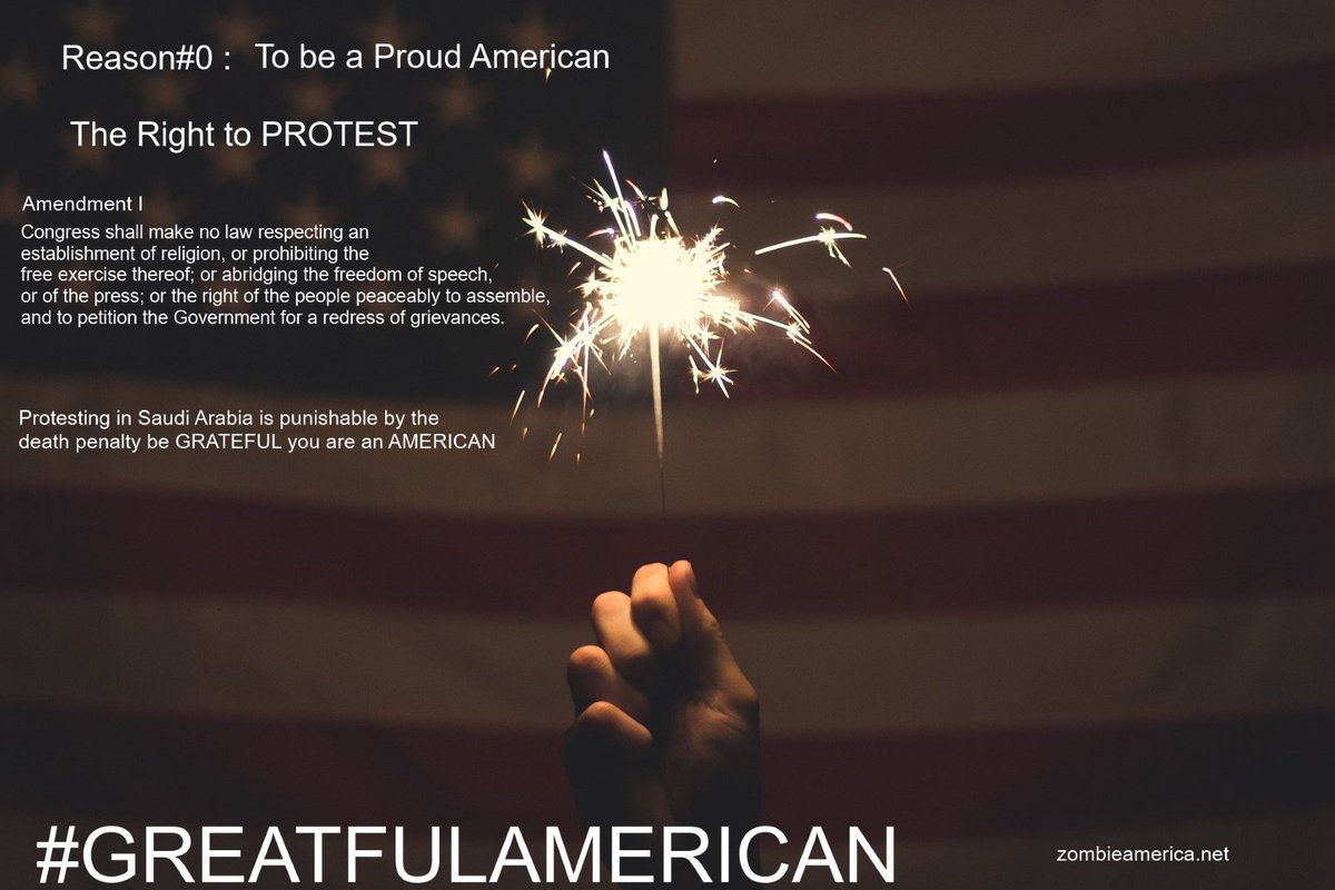 ZombieAmerica1's tweet photo. #greatfulAmerican Series by @zombieAmerica1 - Reasons 2b a Proud &amp; Grateful American &amp; some things some Americans take for granted every day https://t.co/Lcz8NxLfYC