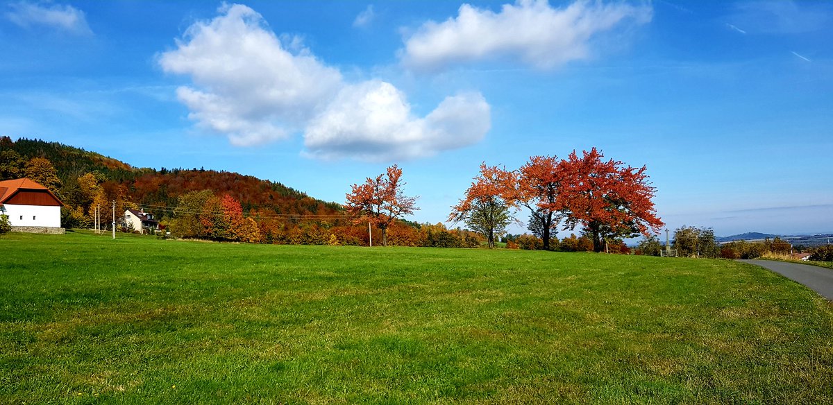 HansenAdam's tweet photo. I always get a strange look when I say I live in the Czech.....I kinda sneaky laugh inside thinking u got no idea how nice it's 2 train here https://t.co/gzrODHu5lt