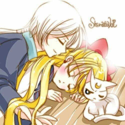 Serenitysaeba's tweet photo. https://t.co/bNt4rVBqNL