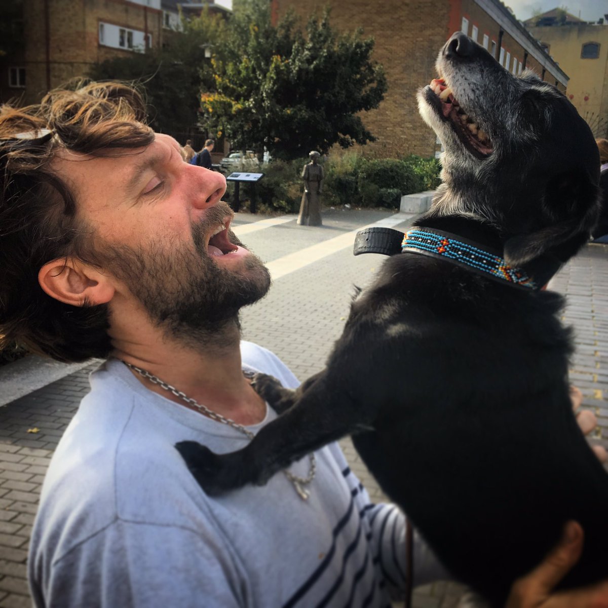 MissKittyCooper's tweet photo. Moon-howling lessons #olddognewtricks https://t.co/xzSj5rBPKe