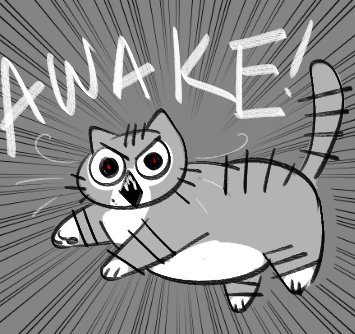 I got to watch a tranquil and beautiful moment of cleo transitioning from sleeping angel to screeching gremlin