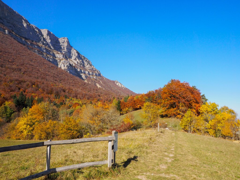 Vanessa_Gre's tweet image. Vous connaissez les #ENS du Département ? Aujourd'hui petite promenade au #Peuil #tourbièredupeuil #Claix #Isère