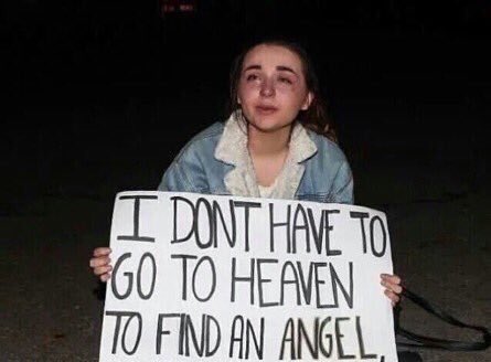 JustForEddie's tweet photo. @alexsaintgnue @froynextdoor @andrewmatarazzo @aidan @BBBTMH @aesteticsfroy @reallynolan @IamLilimar @margotnextdoor @obligingobrien @sebtsb  https://t.co/bGrJNNzVLD