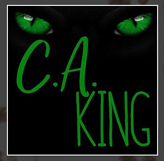 ADPase's tweet photo. What to read next? Discover CA King's website books, news and reviews https://t.co/vP5d93F0JJ @PortalProphecy #amreading #suspense #WritingCommunity https://t.co/fBMs922Gr8