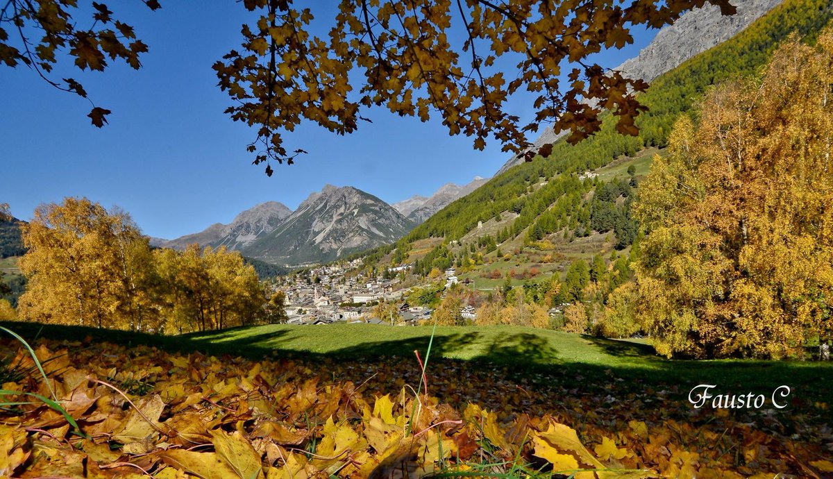 BormioInfo's tweet photo. Magico #autunno a #Bormio in #valtellina #lombardia #alpi https://t.co/ZdotPLnQpG