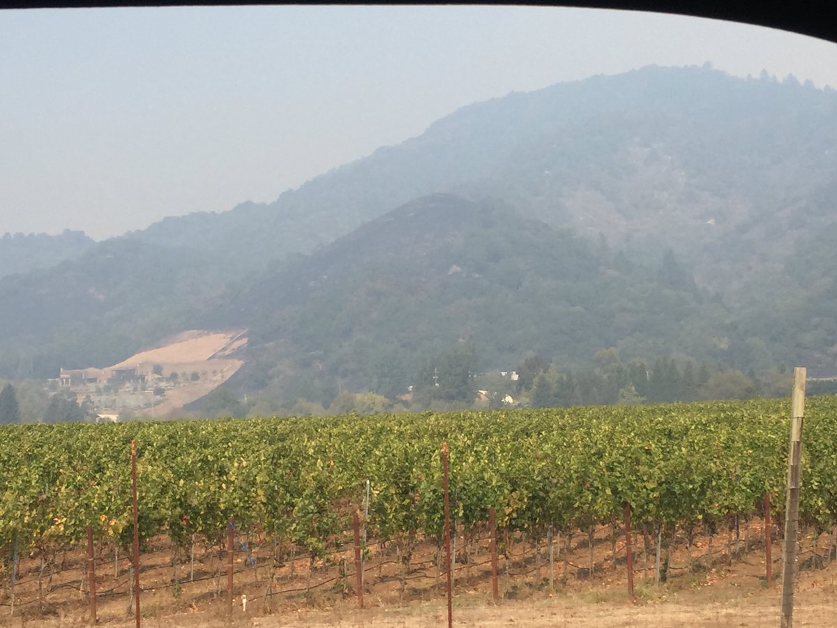 MSGBFoundation's tweet photo. @kjrhody @MatanzasCreek @Sarah_Stierch This was Friday afternoon -- hope that helps give you a sense of things on the ground. Many fire and utility crews in the area. https://t.co/W0975rRpT7
