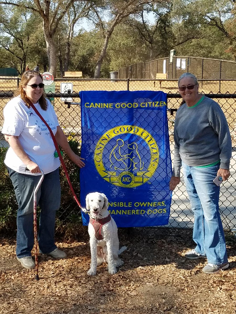 4 Paws 2 Freedom tweet media