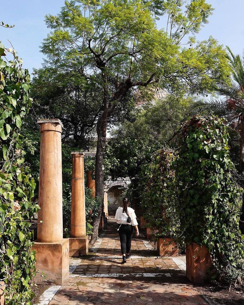 Alice_S__'s tweet photo. Secret Garden 🌿💚 https://t.co/xJggcLJsDz